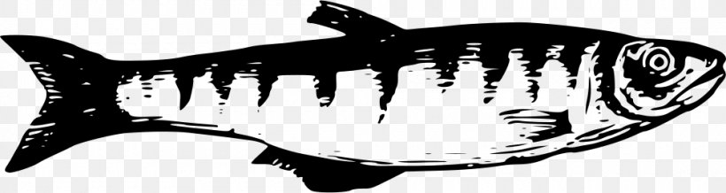 Tiger Shark Lake Tanganyika Fresh Water Freshwater Fish, PNG, 1000x267px, Tiger Shark, Black, Black And White, Carp, Cartilaginous Fish Download Free