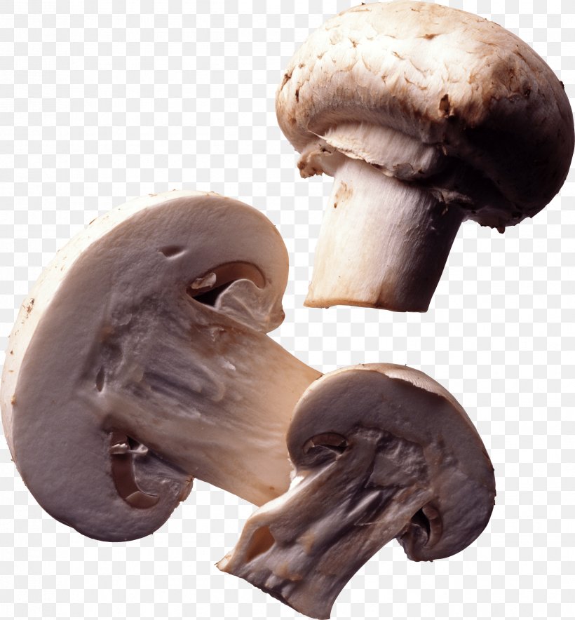 Common Mushroom Edible Mushroom Nutrition, PNG, 2471x2666px, Common Mushroom, Agaricaceae, Agaricomycetes, Agaricus, Champignon Mushroom Download Free