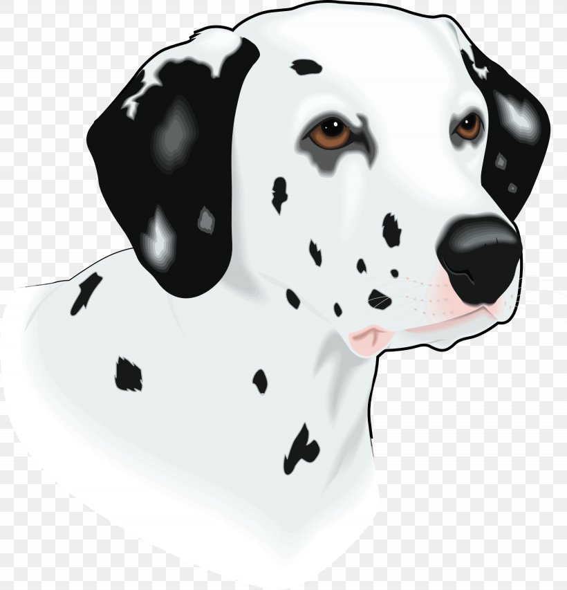 Dalmatian Dog Puppy The Dalmatian Clip Art, PNG, 1845x1920px, Dalmatian Dog, Carnivoran, Dalmatian, Dog, Dog Breed Download Free