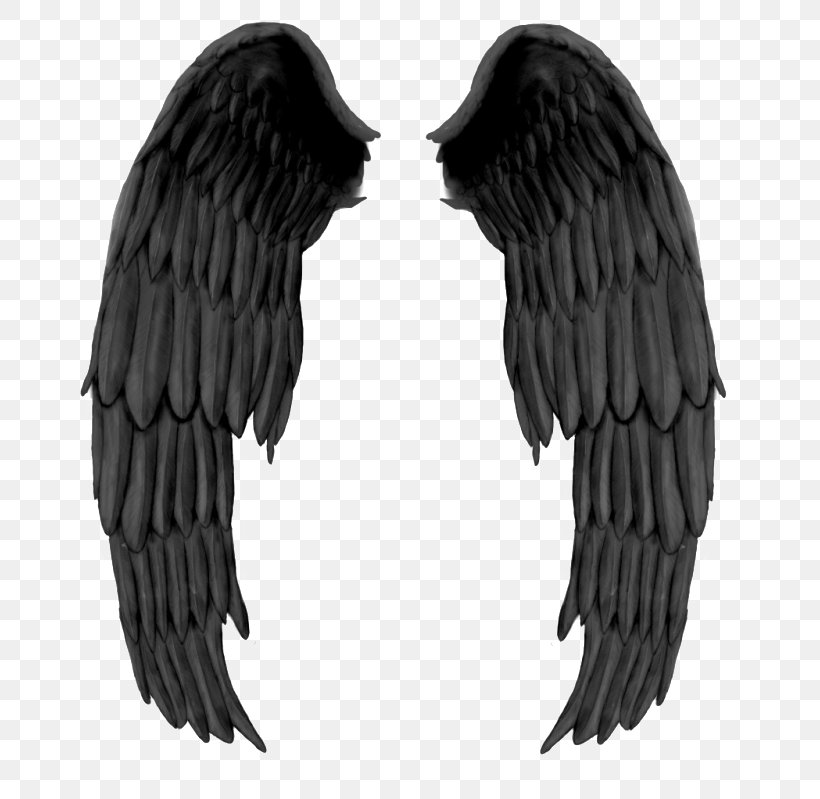 Wing Devil Black And White, PNG, 738x799px, Angel, Beak, Bird Of Prey, Black, Black And White Download Free