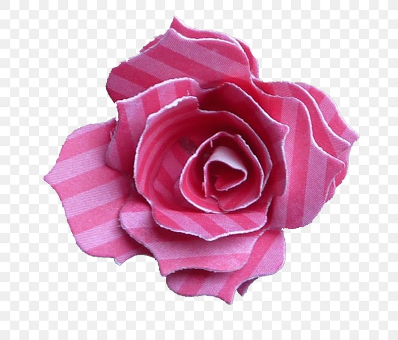 Garden Roses Centifolia Roses Floribunda Cut Flowers Petal, PNG, 700x700px, Garden Roses, Centifolia Roses, China Rose, Cut Flowers, Floribunda Download Free