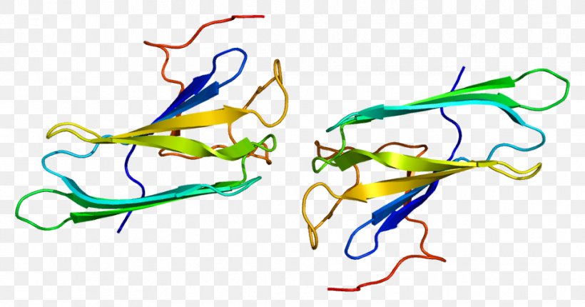 PTGES3 Protein Prostaglandin E Synthase Co-chaperone Hsp90, PNG, 965x507px, Watercolor, Cartoon, Flower, Frame, Heart Download Free