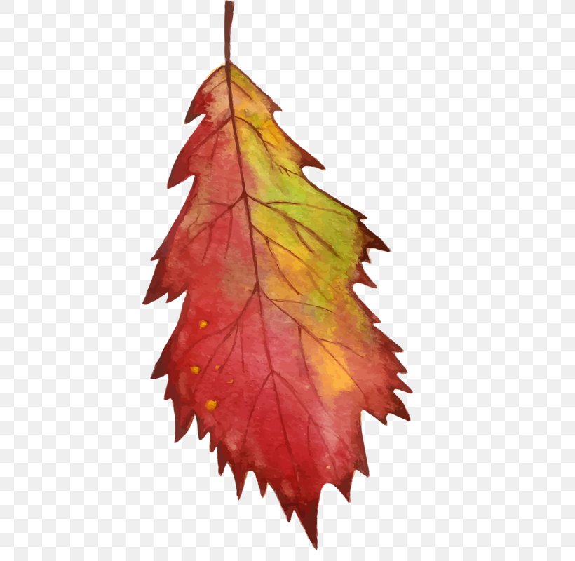Drawing Vector Graphics Watercolor Painting Image, PNG, 448x800px, Drawing, Art, Floral Design, Leaf, Maple Leaf Download Free
