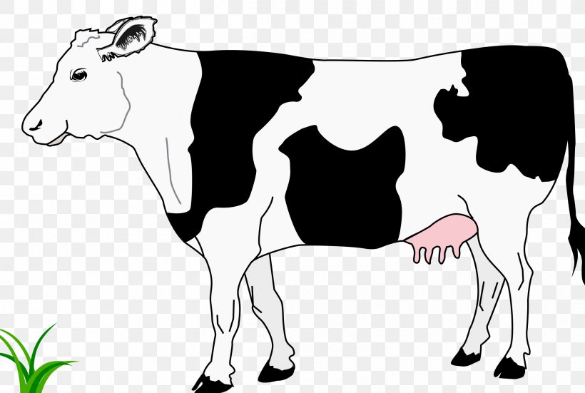 Hereford Cattle White Park Cattle Calf Ox Clip Art, PNG, 2400x1613px, Hereford Cattle, Art, Black And White, Bull, Calf Download Free