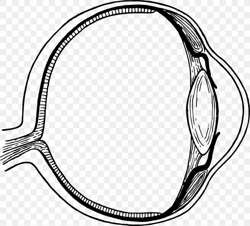 Line Art Eye Drawing Clip Art, PNG, 2400x2169px, Line Art, Artwork, Black And White, Body Jewelry, Diagram Download Free