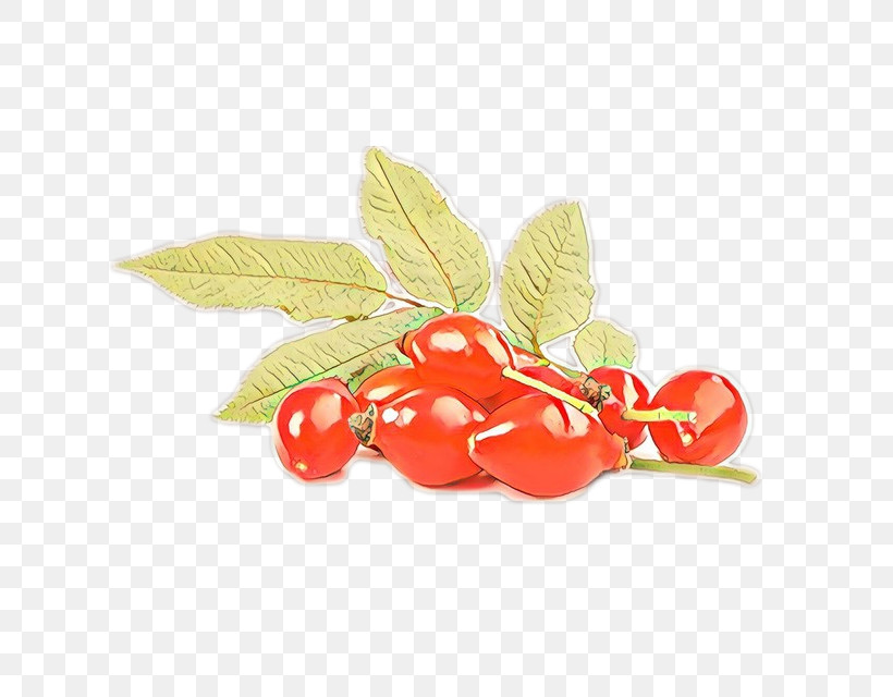 Plant Leaf Fruit Flower Food, PNG, 640x640px, Plant, Acerola Family, Berry, Flower, Food Download Free