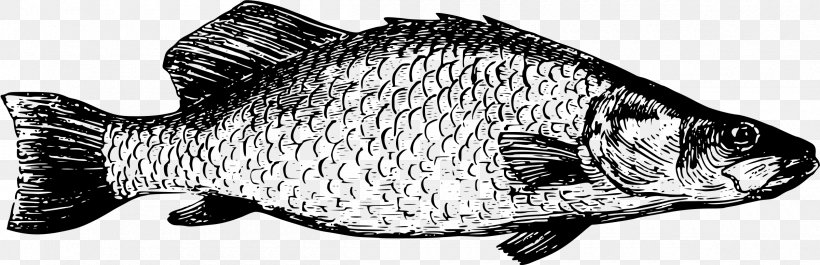 T-shirt Fishing Tilapia Clip Art, PNG, 2400x777px, Tshirt, Animal Figure, Black And White, Carnivoran, Cotton Download Free