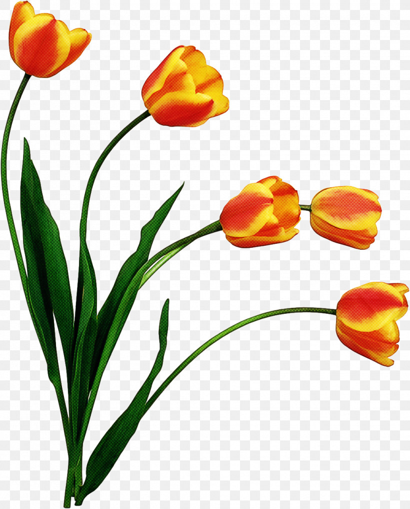 Artificial Flower, PNG, 1032x1280px, Flower, Artificial Flower, Bud, Cut Flowers, Lily Family Download Free