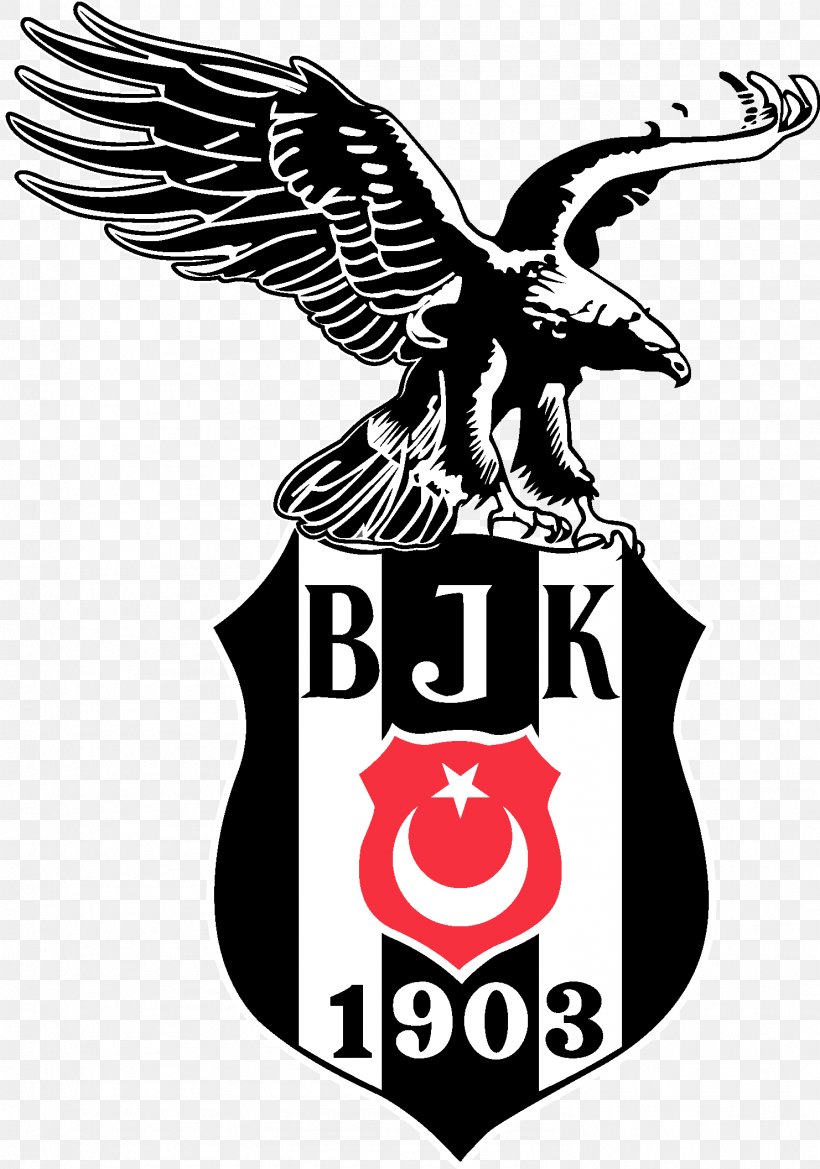 BJK Akatlar Arena Beşiktaş J.K. Football Team 2012–13 Süper Lig UEFA Champions League, PNG, 1482x2114px, Bjk Akatlar Arena, Beak, Bird, Bird Of Prey, Black And White Download Free