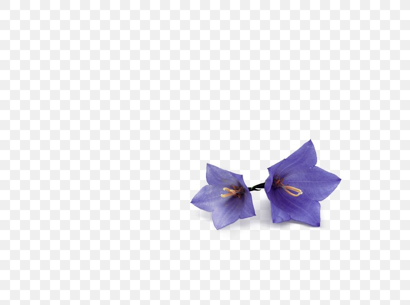 Bow Tie, PNG, 610x610px, Bow Tie, Cobalt Blue, Flower, Lilac, Petal Download Free