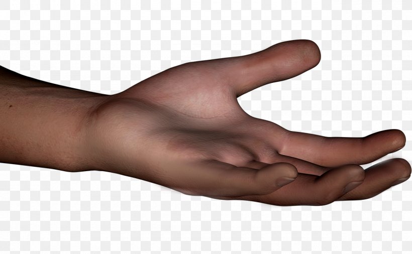 Thumb Hand Model Human Body Homo Sapiens, PNG, 1280x791px, Thumb, Arm, Finger, Hand, Hand Model Download Free