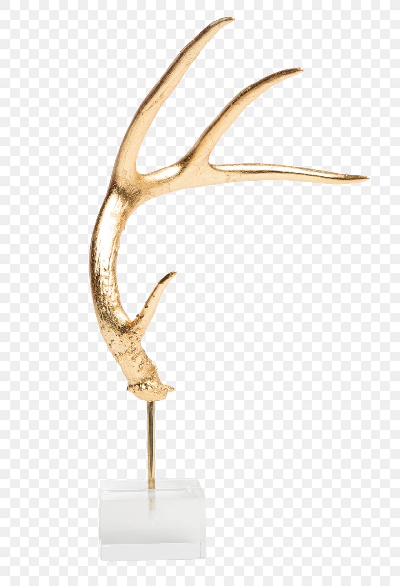 Antler Deer Acrylic Paint Artificial Nails, PNG, 740x1200px, Antler, Acrylic Paint, Art, Artificial Nails, Brass Download Free