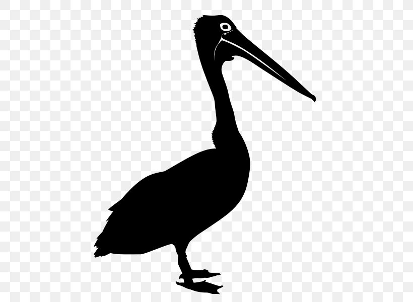 Bird Australian Pelican Drawing Silhouette Clip Art, PNG, 600x600px, Bird, Australia, Australian Pelican, Beak, Black And White Download Free