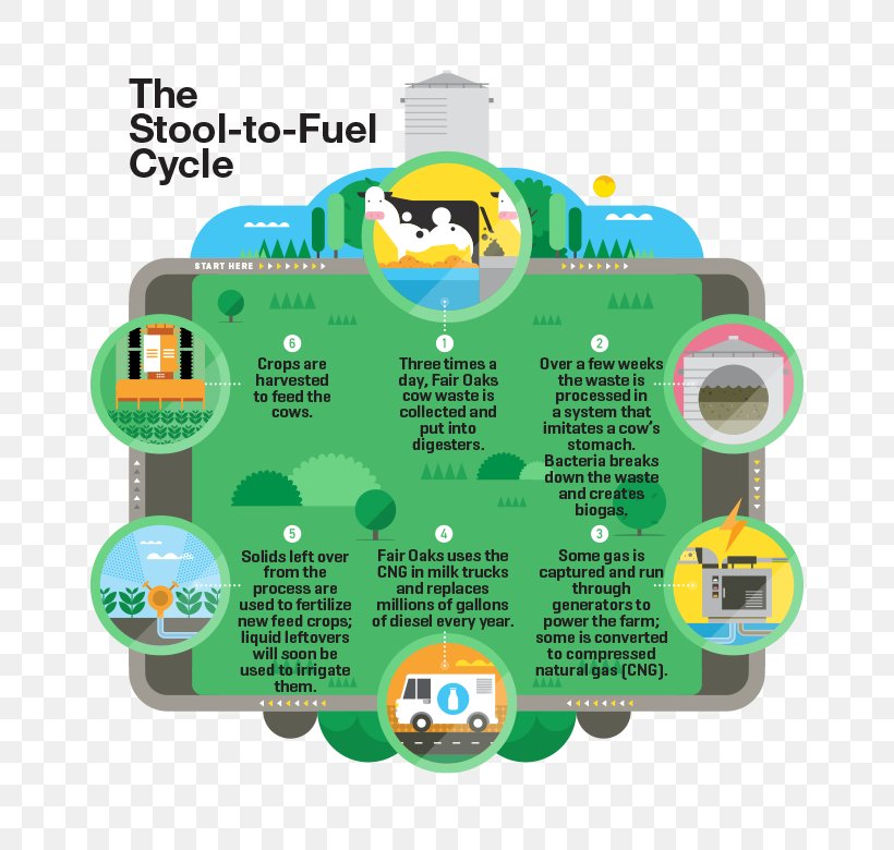 Cattle Anaerobic Digestion Renewable Natural Gas Dairy Farming, PNG, 780x780px, Cattle, Agriculture, Anaerobic Digestion, Biogas, Dairy Download Free