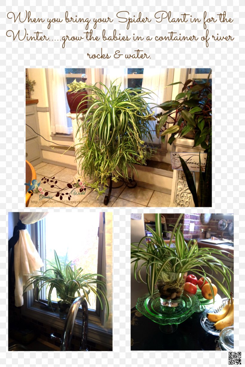 Houseplant Flowerpot Herb Tree, PNG, 1067x1600px, Houseplant, Flowerpot, Herb, Plant, Tree Download Free