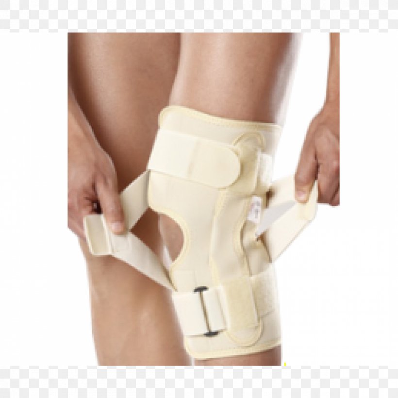 Knee Ankle Shoulder Anterior Cruciate Ligament Splint, PNG, 1200x1200px, Watercolor, Cartoon, Flower, Frame, Heart Download Free