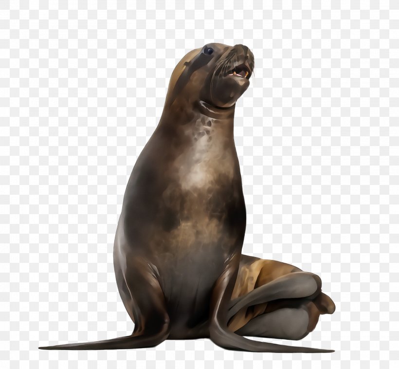 California Sea Lion Seal Fur Seal Steller Sea Lion Bronze Sculpture, PNG, 2080x1924px, Watercolor, Bronze Sculpture, California Sea Lion, Earless Seal, Figurine Download Free