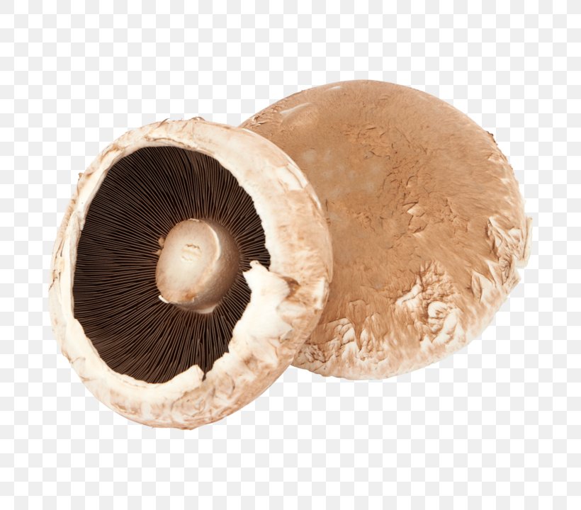 Common Mushroom Malta Warehouse Price, PNG, 720x720px, Common Mushroom, Agaricaceae, Agaricomycetes, Agaricus, Champignon Mushroom Download Free