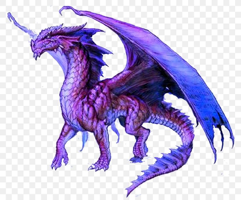Dragon Image Desktop Wallpaper Legendary Creature, PNG, 800x680px, Dragon, Demon, Drawing, Fantasy, Fictional Character Download Free