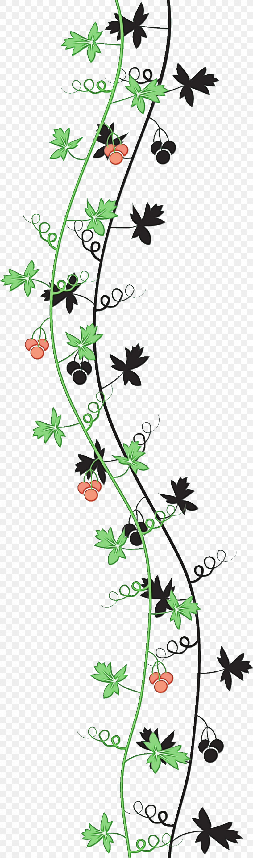 Flower Plant Pedicel Wildflower Plant Stem, PNG, 939x3182px, Leaf Border, Flower, Paint, Pedicel, Plant Download Free