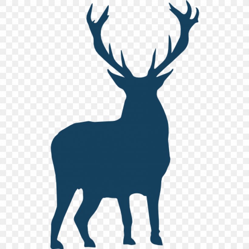 Red Deer Silhouette Clip Art, PNG, 2048x2048px, Deer, Animal, Antler, Black And White, Drawing Download Free