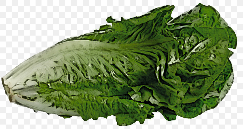 Spring Greens Collard Romaine Lettuce Rapini Vegetable, PNG, 815x435px, Spring Greens, Chard, Collard, Rapini, Romaine Lettuce Download Free