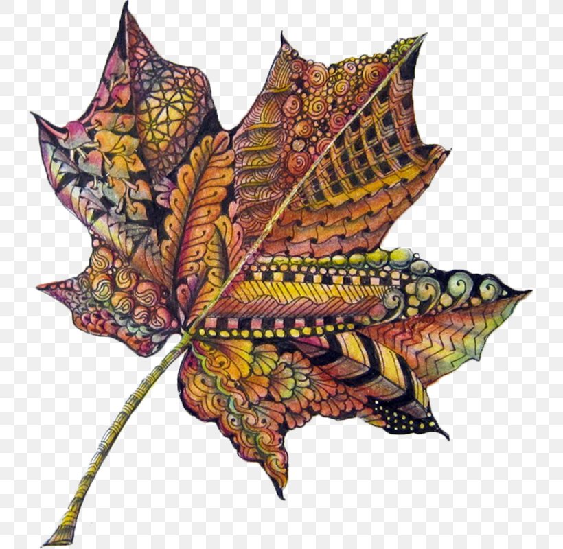 Autumn Leaf Color Drawing, PNG, 735x800px, Autumn Leaf Color, Art, Autumn, Color, Colored Pencil Download Free