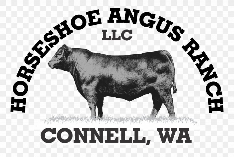 Bull Angus Cattle Beef Cattle Ox Calf, PNG, 3468x2343px, Bull, Advertising, Angus Cattle, Beef, Beef Cattle Download Free
