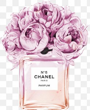 Chanel No 5 Perfume Fashion Illustration Png 478x670px Chanel No 5 Brand Chanel David Downton Drawing Download Free