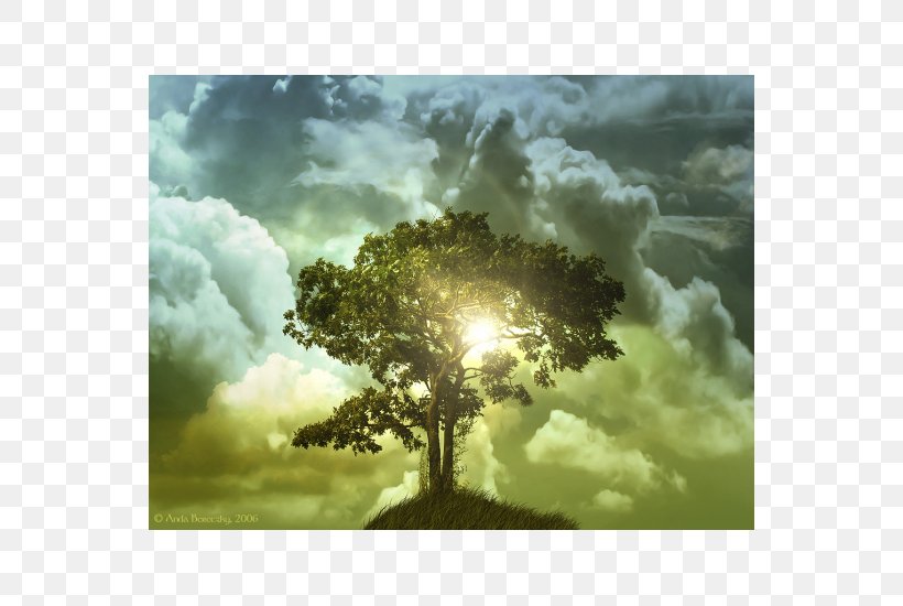 Desktop Wallpaper Tree Of Life High-definition Television, PNG, 550x550px, Tree Of Life, Aspect Ratio, Atmosphere, Cloud, Display Resolution Download Free