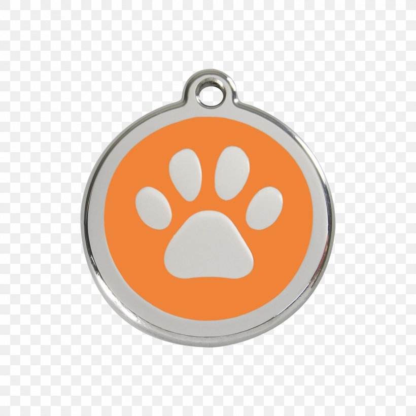 Dog Cat Dingo Puppy Kitten, PNG, 1500x1500px, Dog, Blue, Cat, Collar, Dingo Download Free