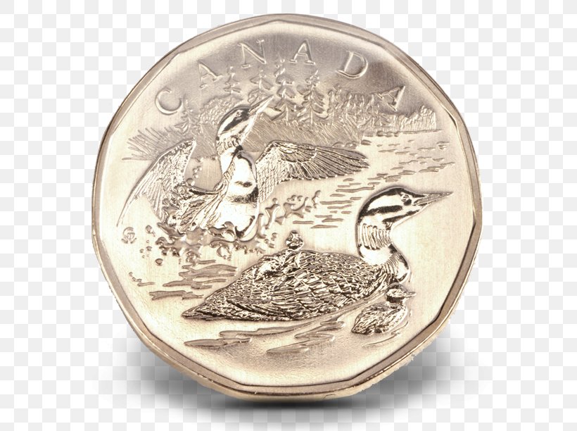 Dollar Coin Canada Loonie Canadian Dollar, PNG, 640x612px, Coin, Canada, Canadian Dollar, Common Loon, Currency Download Free