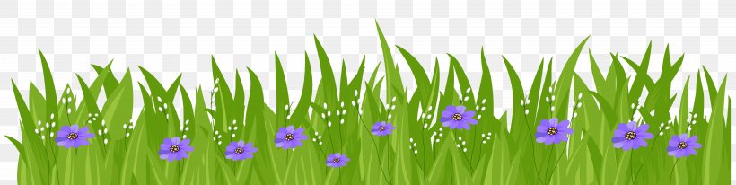 Flower Lawn Clip Art, PNG, 8000x2017px, Flower, Blue, Commodity, Grass, Grass Family Download Free