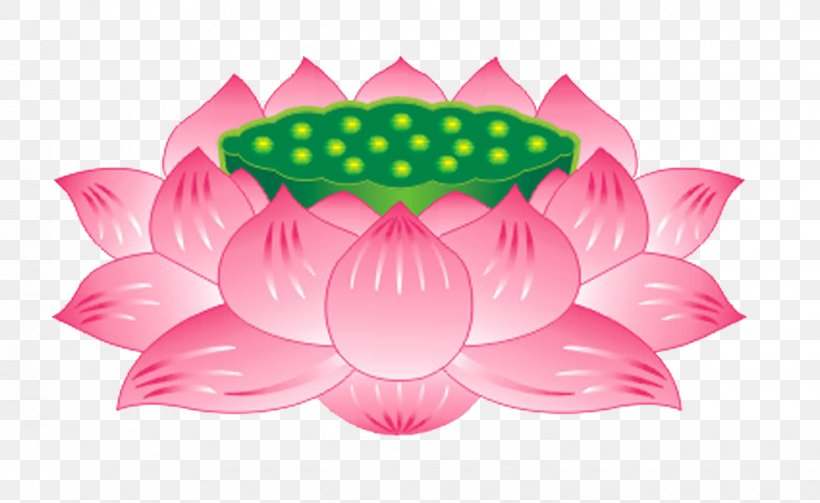 Nelumbo Nucifera Buddhism Buddhahood Bodhisattva Guanyin, PNG, 977x600px, Nelumbo Nucifera, Buddhahood, Buddhism, Dahlia, Floral Design Download Free