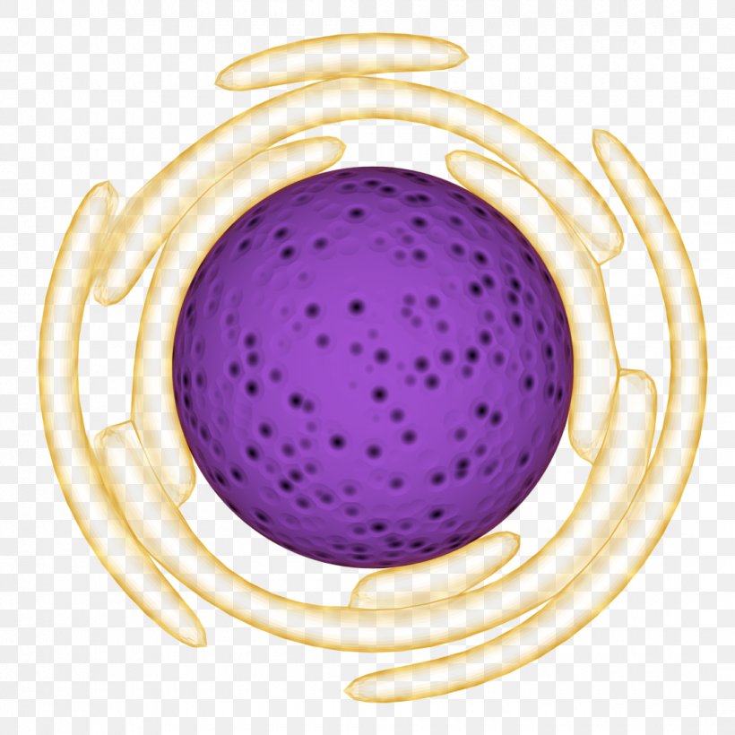 Cell Nucleus Image Organelle, PNG, 1080x1080px, Cell Nucleus, Art, Computer, Endoplasmic Reticulum, Organelle Download Free