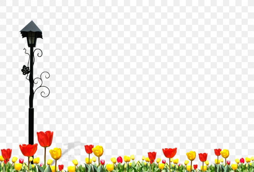 Download Tulip Wallpaper, PNG, 1200x811px, Tulip, Computer, Floral Design, Flower, Flowering Plant Download Free