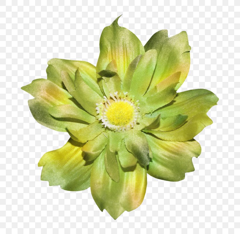 Flower Green, PNG, 745x800px, Flower, Animation, Chrysanthemum, Chrysanths, Color Download Free