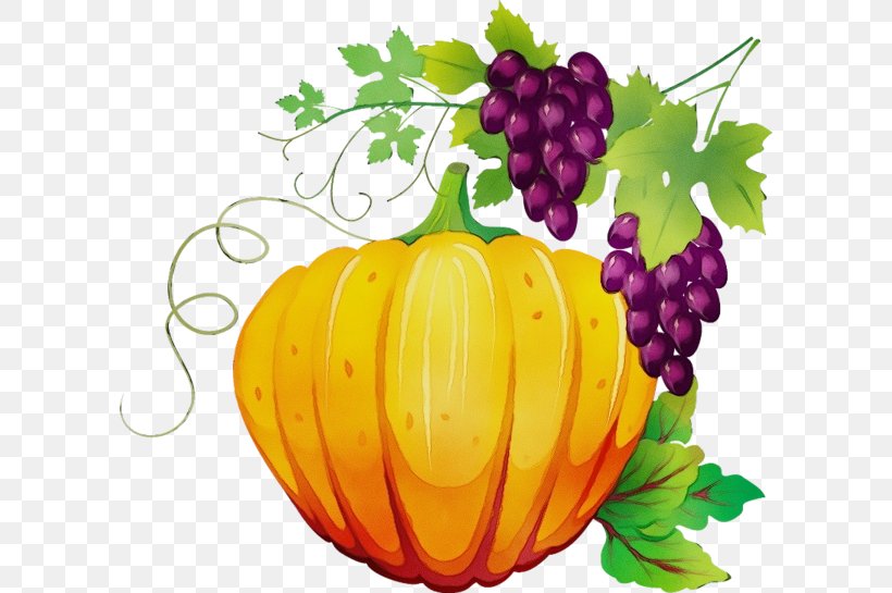 Natural Foods Grape Grapevine Family Fruit Yellow, PNG, 600x545px, Watercolor, Fruit, Grape, Grapevine Family, Leaf Download Free