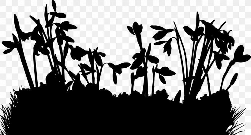 Plant Stem Desktop Wallpaper Leaf Flower Font, PNG, 1280x689px, Plant Stem, Art, Black M, Blackandwhite, Branch Download Free