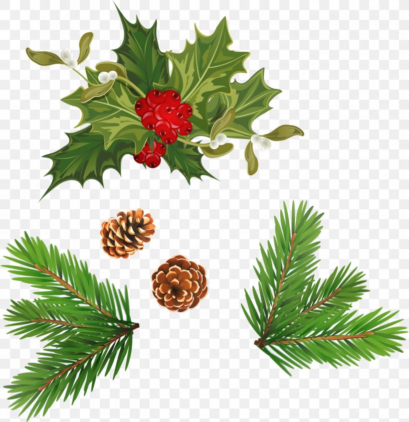 Christmas Ornament Spruce Advent Wreath, PNG, 1239x1280px, Christmas Ornament, Advent Wreath, Animaatio, Aquifoliaceae, Aquifoliales Download Free