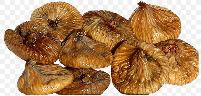 Common Fig Food Drying Dried Fruit Sycamore Fig Fig Wasp, PNG, 800x391px, Common Fig, Animal, Blueberry, Dried Fruit, Eating Download Free