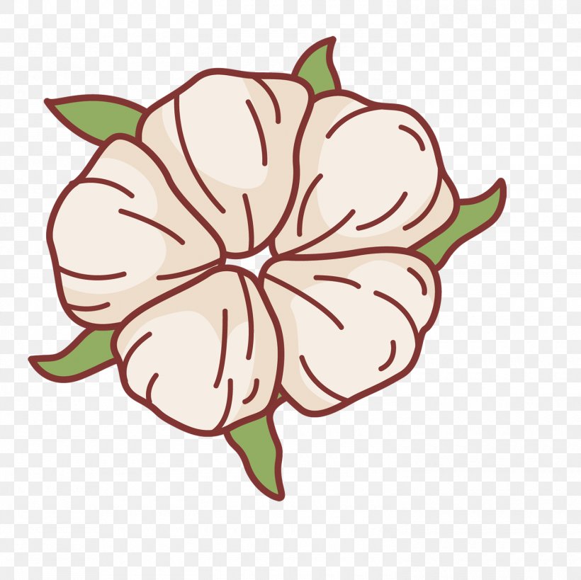 Cotton Clip Art Design Flower Packaging And Labeling, PNG, 1500x1499px, Cotton, Artwork, Box, Cut Flowers, Drawing Download Free