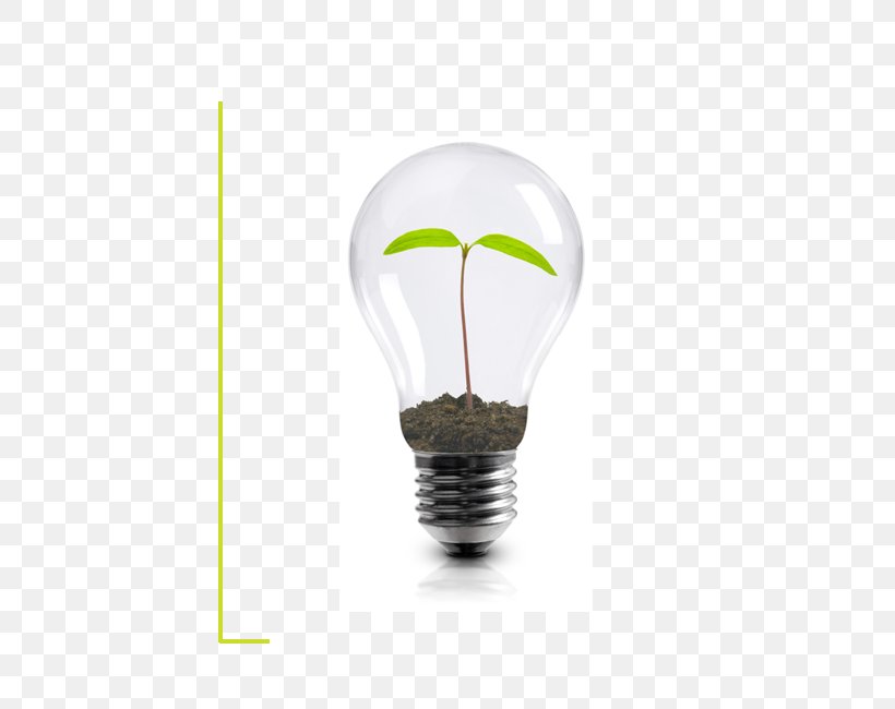 Incandescent Light Bulb Energy Conservation Innovation Organization, PNG, 500x650px, Incandescent Light Bulb, Business, Efficient Energy Use, Electricity, Energy Download Free