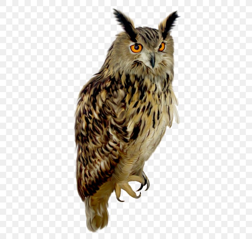Owl Clip Art, PNG, 380x779px, Owl, Beak, Bird, Bird Of Prey, Computer Graphics Download Free