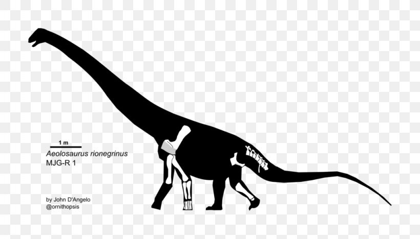Aeolosaurus Homo Sapiens Titanosaurus Ornithopsis Dinosaur, PNG, 1024x585px, Aeolosaurus, Animal, Black And White, Dinosaur, Foot Download Free