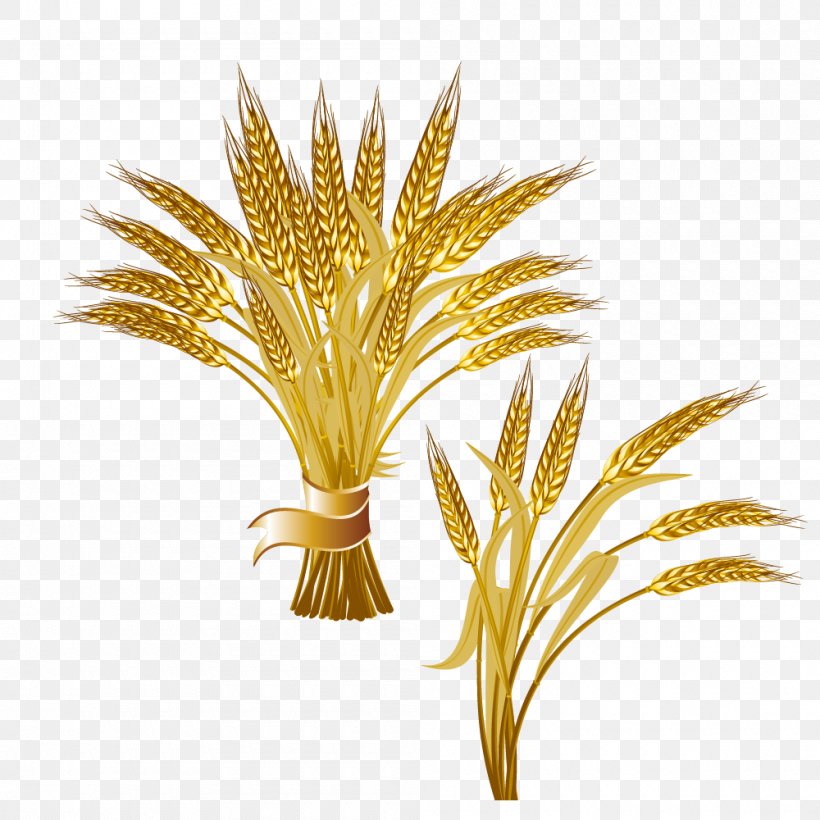 Common Wheat Ear Logo Clip Art, PNG, 1000x1000px, Common Wheat, Cereal, Commodity, Crop, Date Palm Download Free
