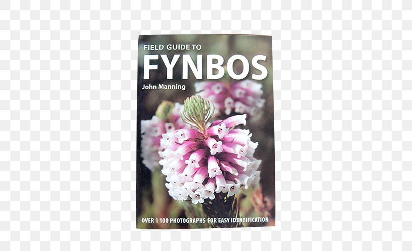 Field Guide To Fynbos Field Guide To Wild Flowers Of South Africa First Field Guide To Succulents Of Southern Africa Cape Floristic Region, PNG, 500x500px, Fynbos, Book, Field Guide, Flora, Flower Download Free