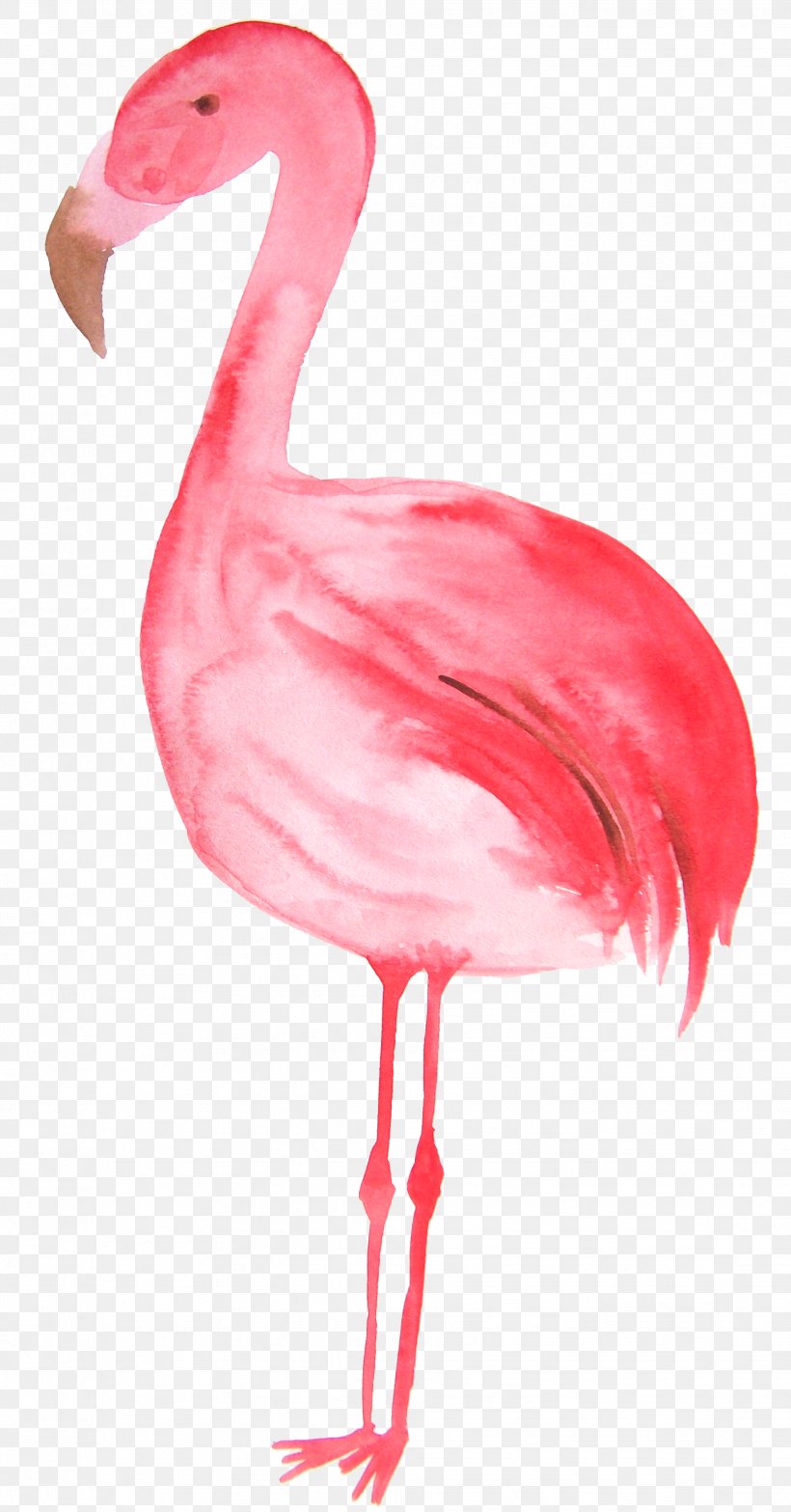 Flamingos Bird Illustration, PNG, 1962x3750px, Flamingos, Beak, Bird, Cartoon, Designer Download Free