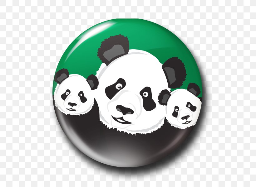 Giant Panda Snout, PNG, 600x600px, Giant Panda, Bear, Carnivoran, Snout Download Free