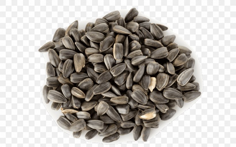 Sunflower Seed Common Sunflower Pumpkin Seed, PNG, 1368x855px, Sunflower Seed, Bread, Chia, Chia Seed, Commodity Download Free